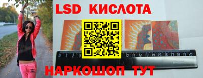 винт Будённовск