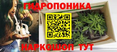 винт Будённовск